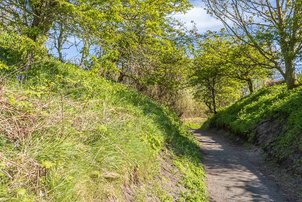 St Oswald's Way St Oswald's Way
